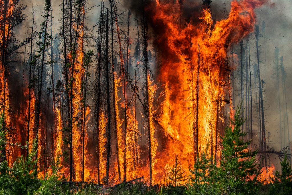 Flame Front #9, near Fort Providence, Northwest Territories, Canada, June 22, 2015