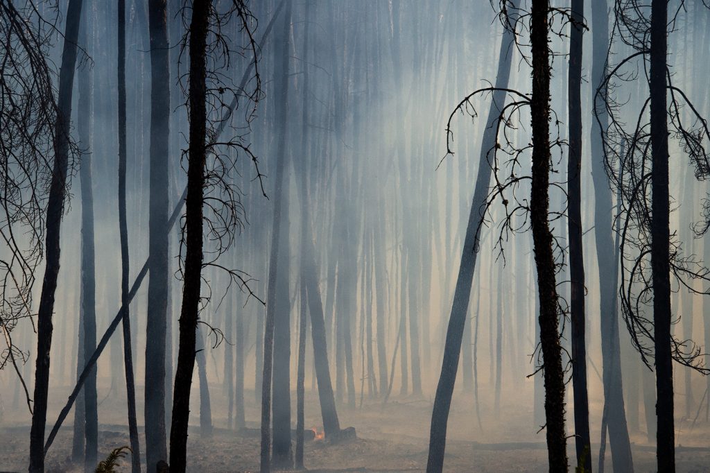 Smoky Forest #3, Fort Providence, Northwest Territories, Canada, June 26, 2015. Experimental prescribed research burn.