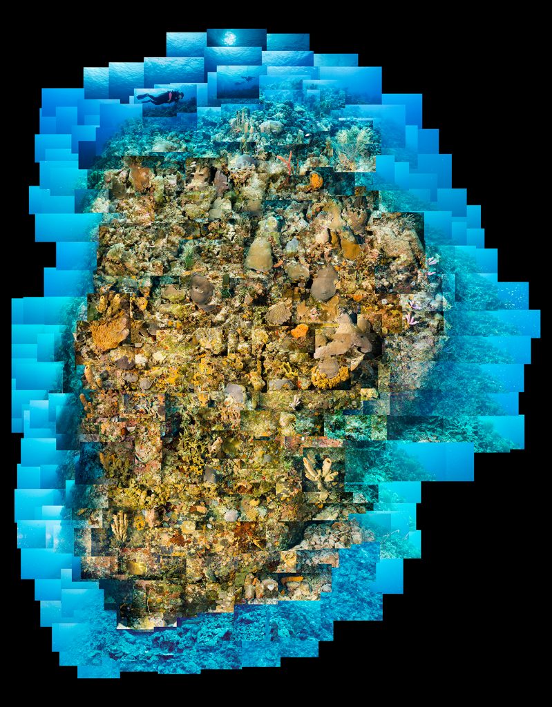 Carl’s Hill Reef Mosaic, Bonaire, Caribbean Netherlands, 2006