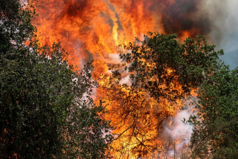 "Soberanes Fire #1", Los Padres National Forest, California, USA (2016)