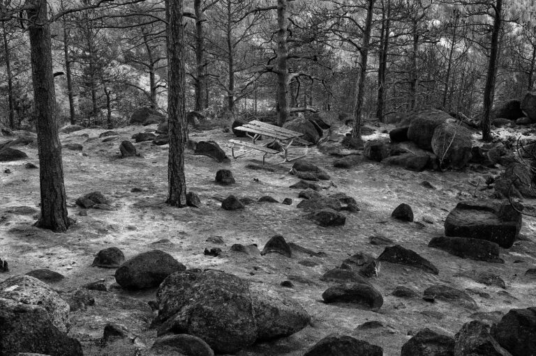 "The Picnic Table (B/W)", Boulder, Colorado, USA (2010)