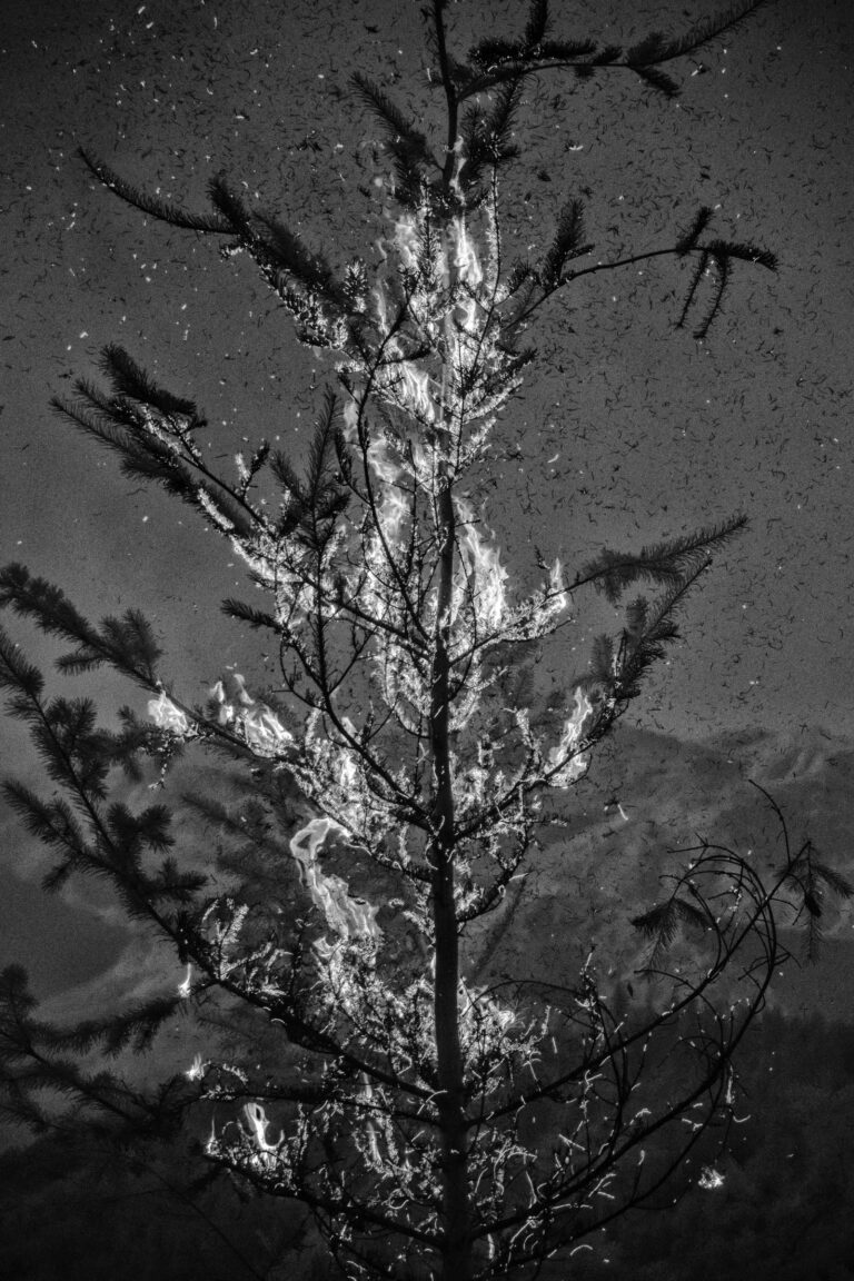 "Wildfire Infrared #5", Happy Camp Fire, Klamath National Forest, California, USA (2014)