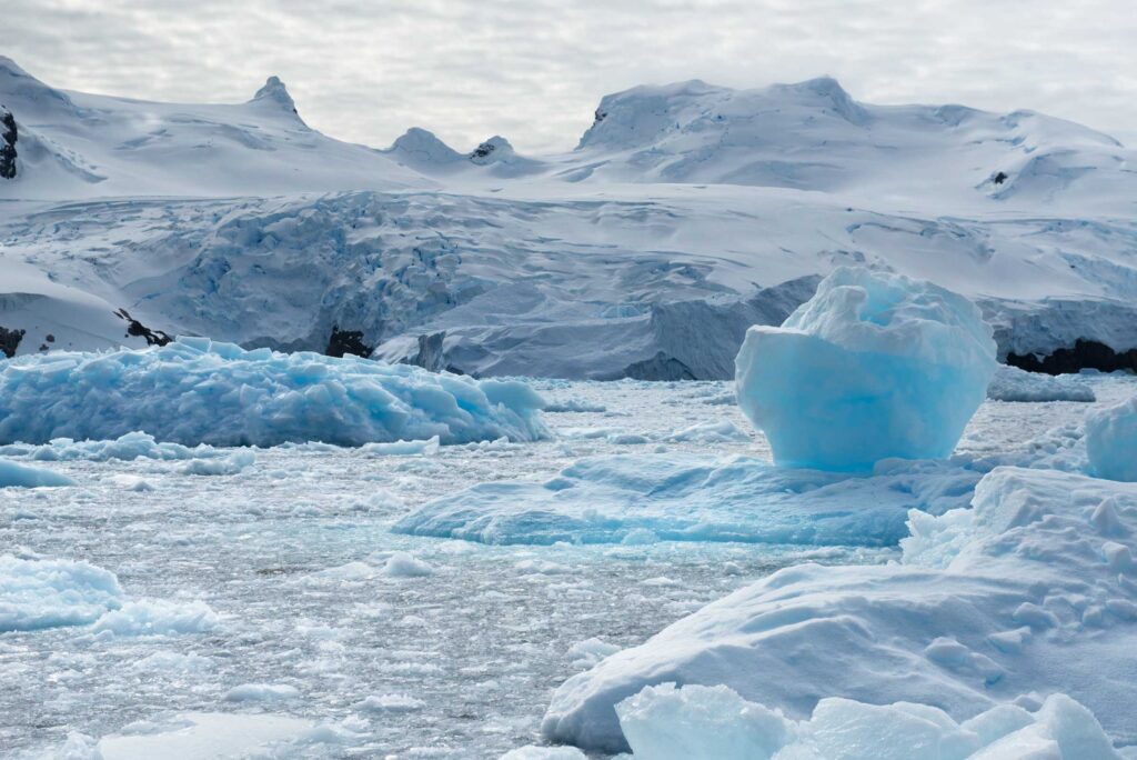 "Cierva Cove", Antarctic Peninsula (2014)