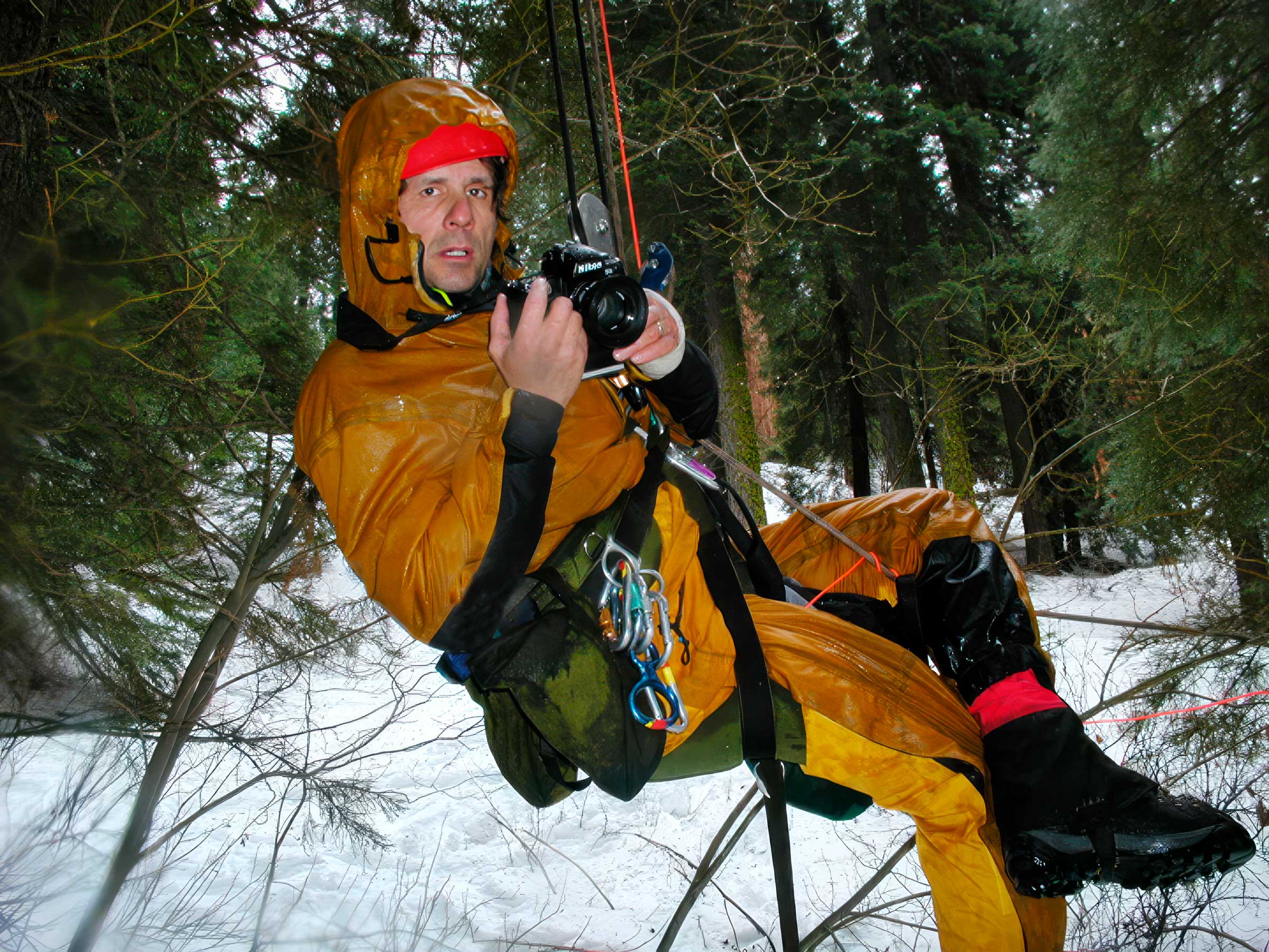 James Balog hypothermic and exhausted as he nears ground during photography of Giant Sequoia "Stagg", Alder Creek Grove, Camp Nelson, California, USA (2001)