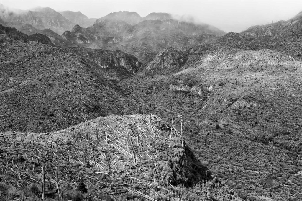 "Forest Leveled by Mount St. Helens Eruption #2", Mount St. Helens National Volcanic Monument, Washington, USA (2004)