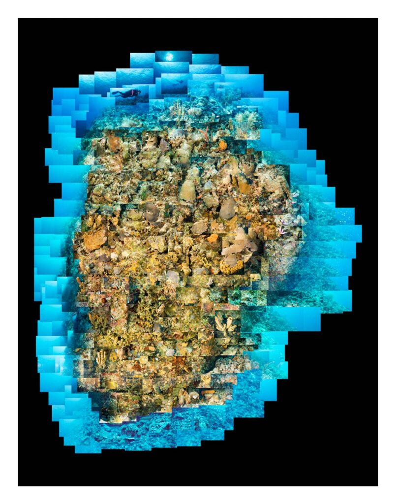 "Carl's Hill Reef Mosaic", Bonaire, Caribbean Netherlands (2006)