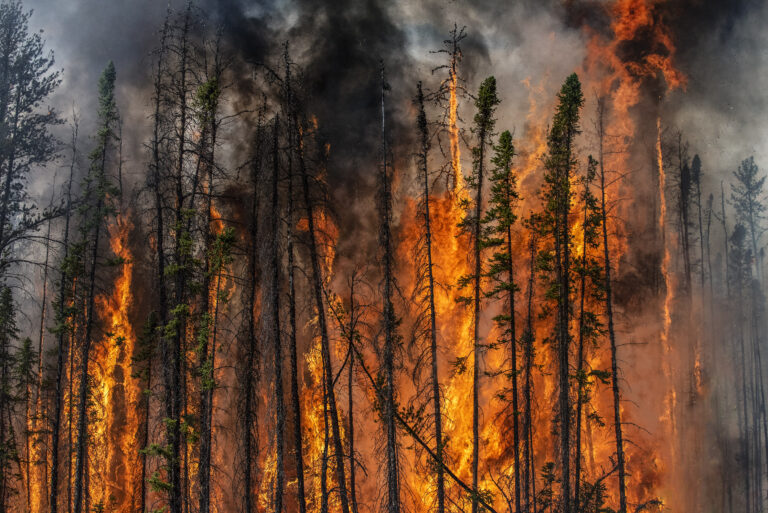 "Flame Front #6", Fort Providence, Northwest Territories, Canada (2015)