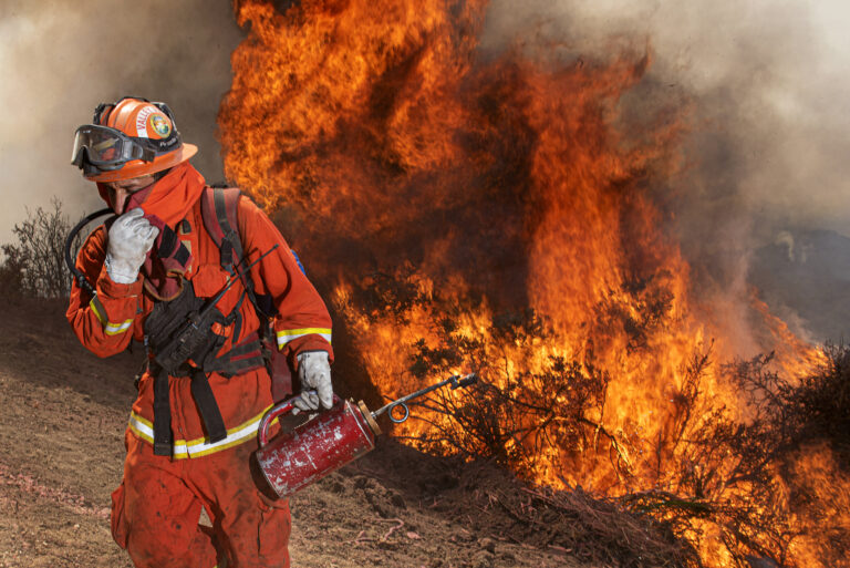 "Burnout #12 at Soberanes Fire", California, USA (August 3, 2016)