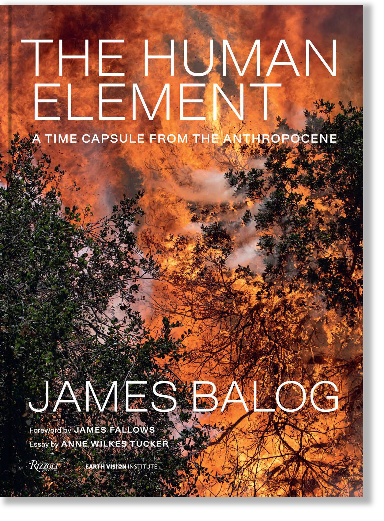 The Human Element: A Time Capsule from the Anthropocene