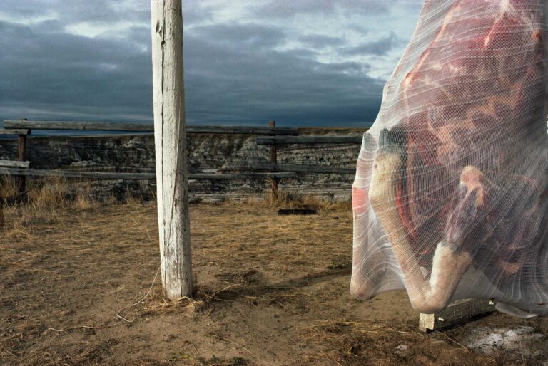 "Hells Half Acre #1", Wyoming, USA (1983)