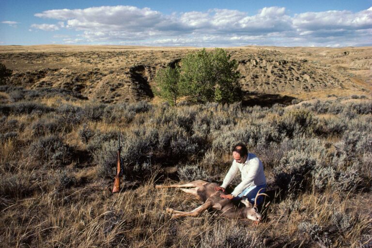 Laying on Hands #1, Strawberry Creek, Colorado, USA (1983)