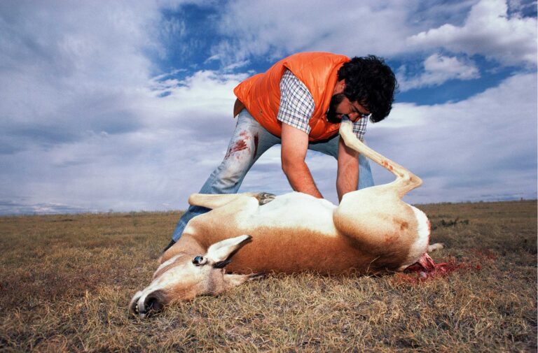 "Laying on Hands #2", Strawberry Creek, Colorado, USA (1983)