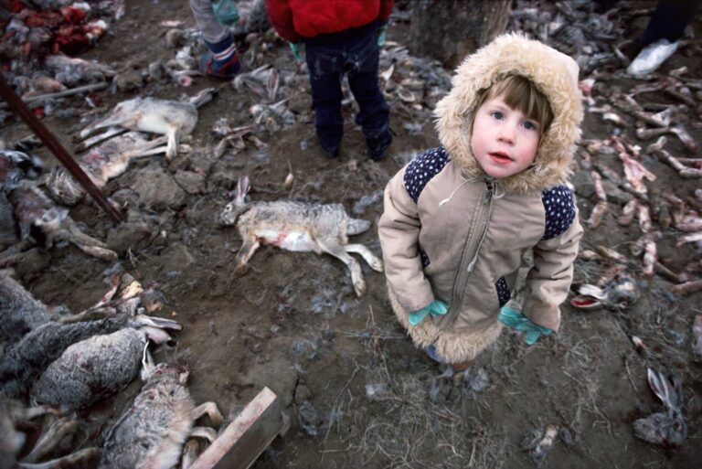 "Rabbit Roundup #1", Mud Lake, Idaho, USA (1981)